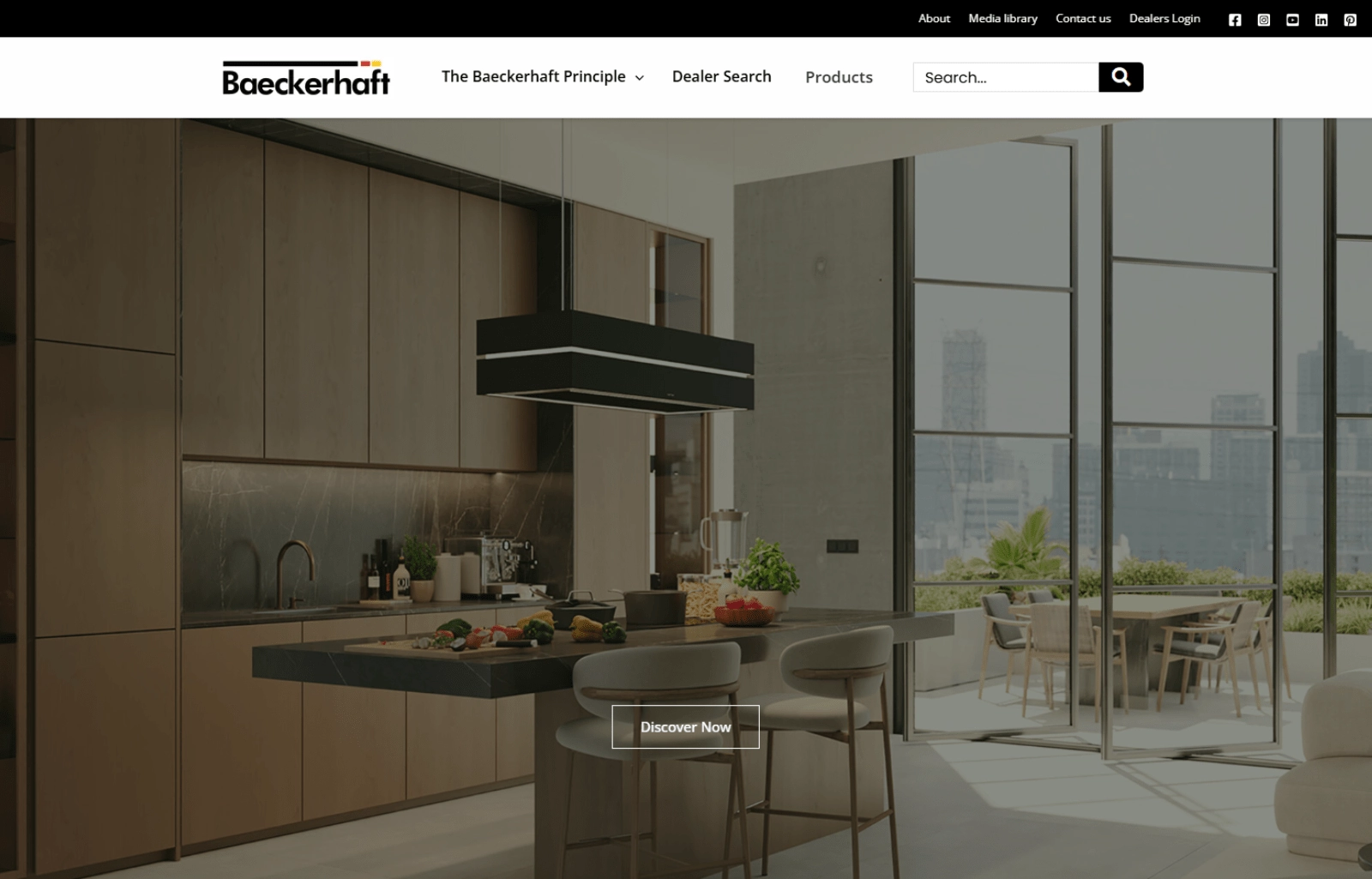 WordPress Ecommerce Website